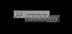 Hamann